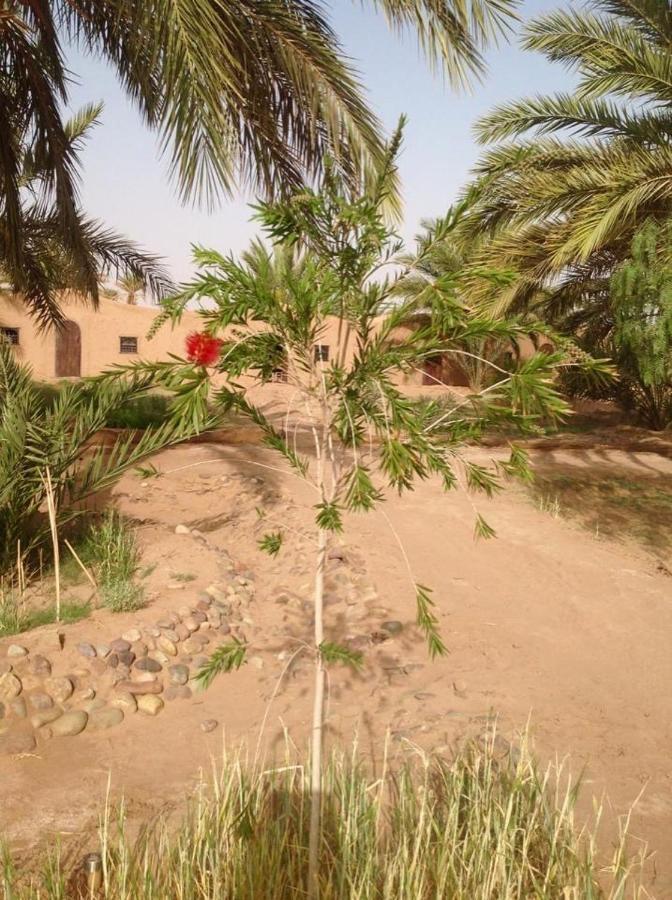 Chez Madani Hotel M'Hamid Exterior foto