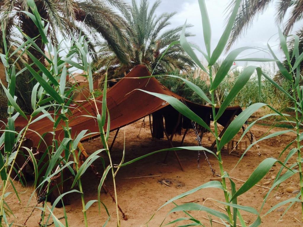 Chez Madani Hotel M'Hamid Exterior foto